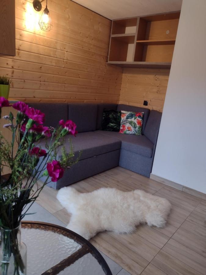 Villa Solina Zawoz Ngoại thất bức ảnh
